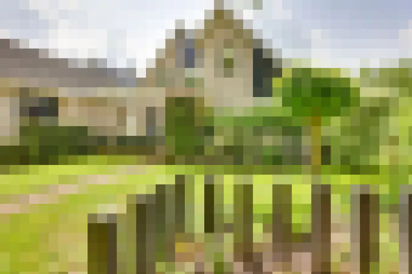 Roerdomp 36 Rijssen thumbnail 55