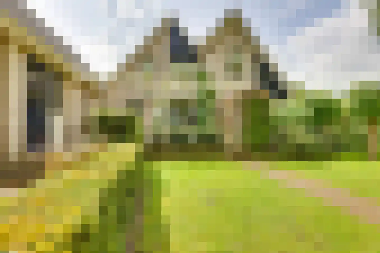 Roerdomp 36 Rijssen thumbnail 56