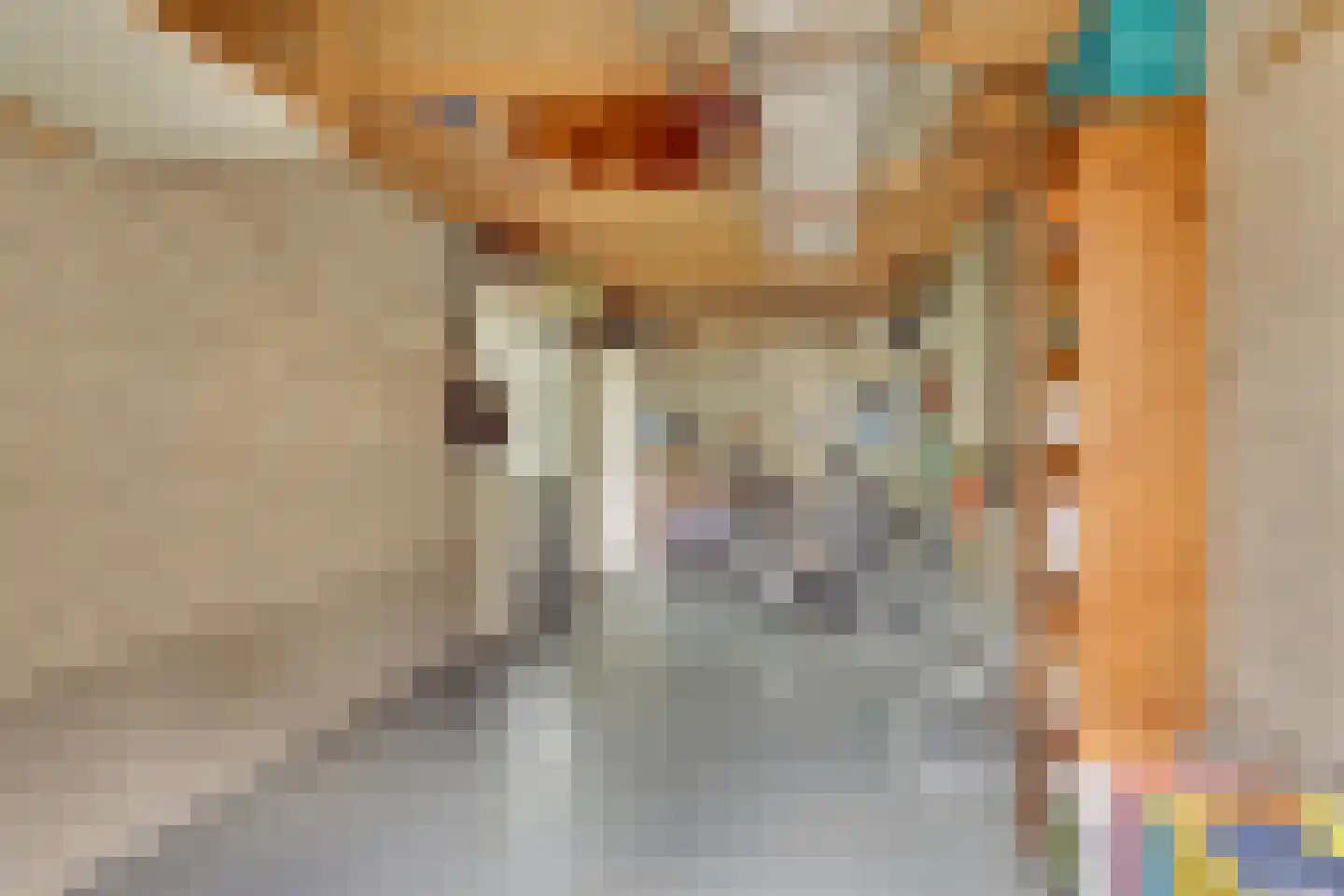 Roerdomp 36 Rijssen thumbnail 59