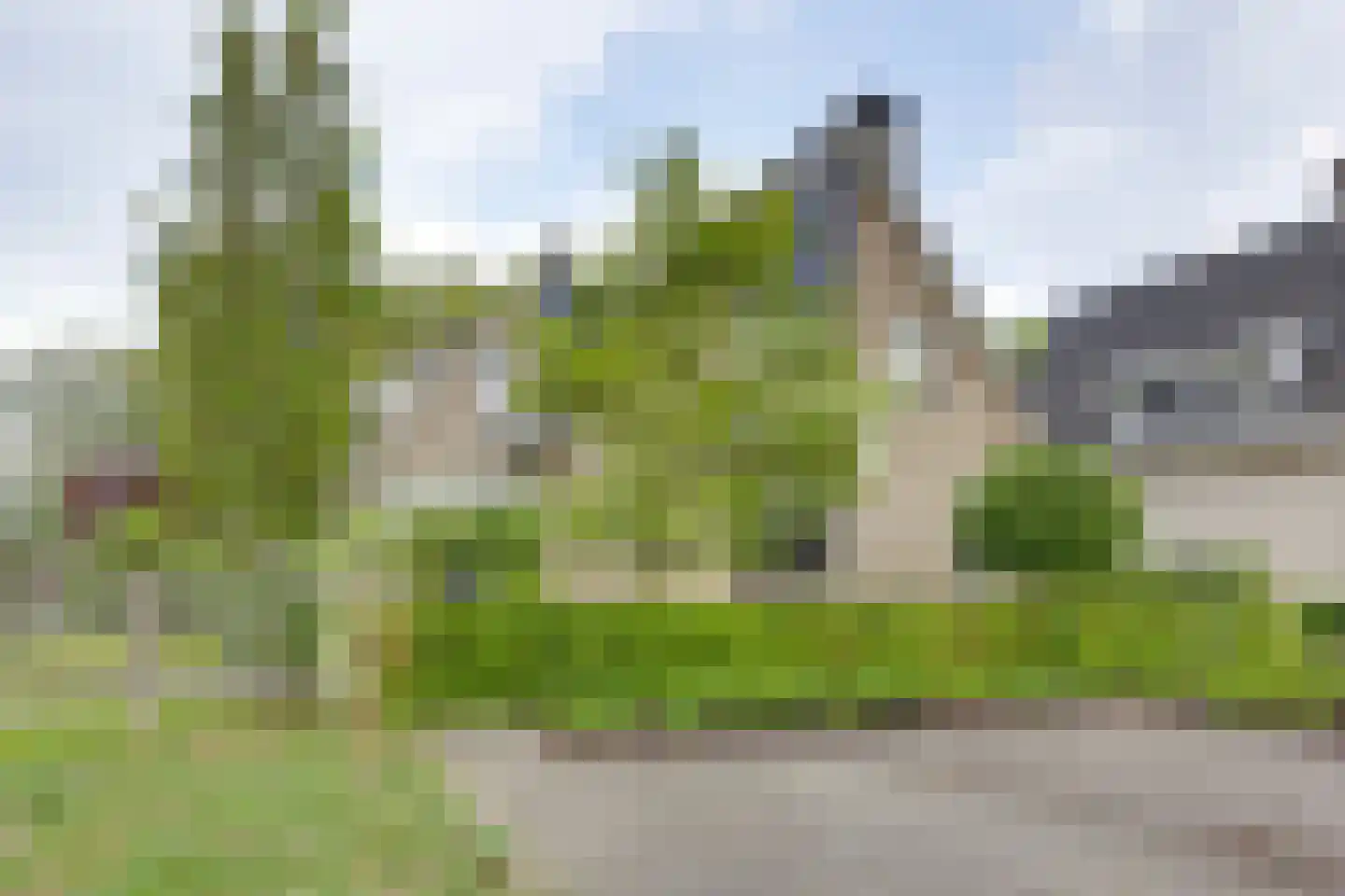 Roerdomp 36 Rijssen thumbnail 6