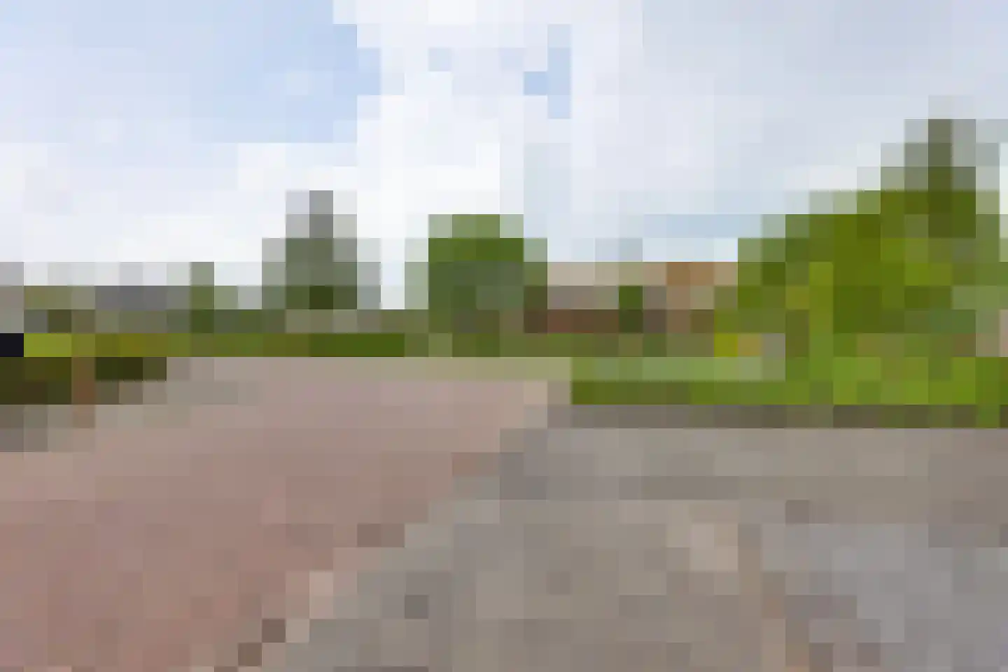 Roerdomp 36 Rijssen thumbnail 61