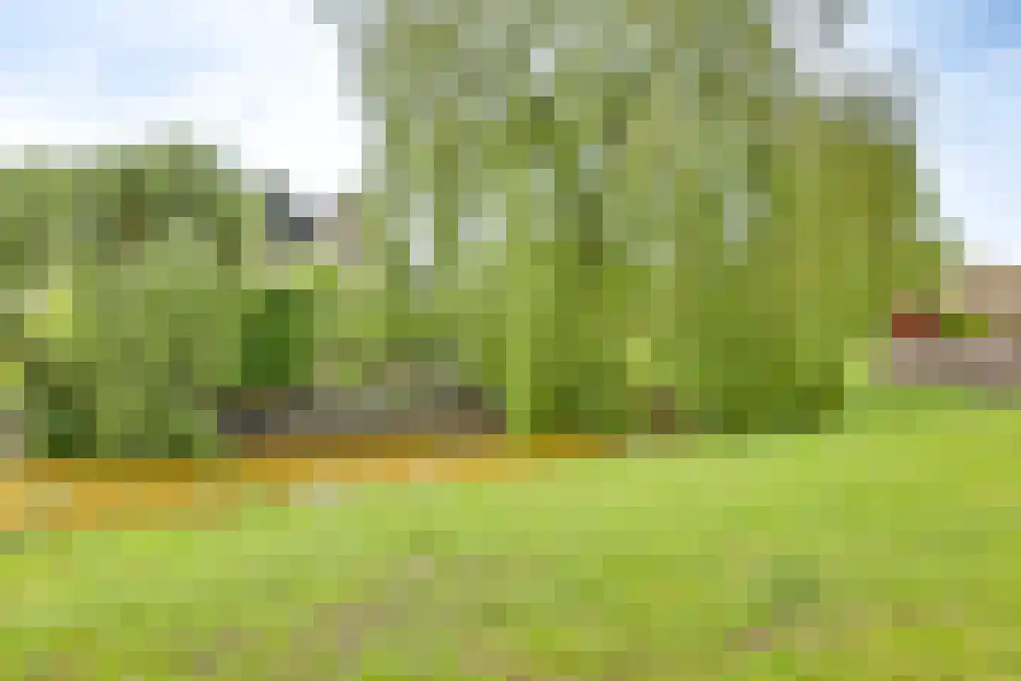 Roerdomp 36 Rijssen thumbnail 62