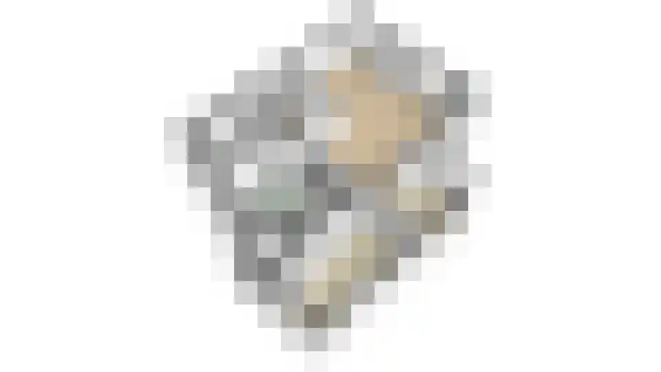 Roerdomp 36 Rijssen thumbnail 64