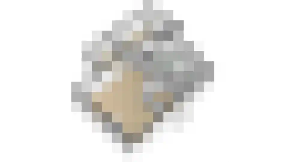 Roerdomp 36 Rijssen thumbnail 65