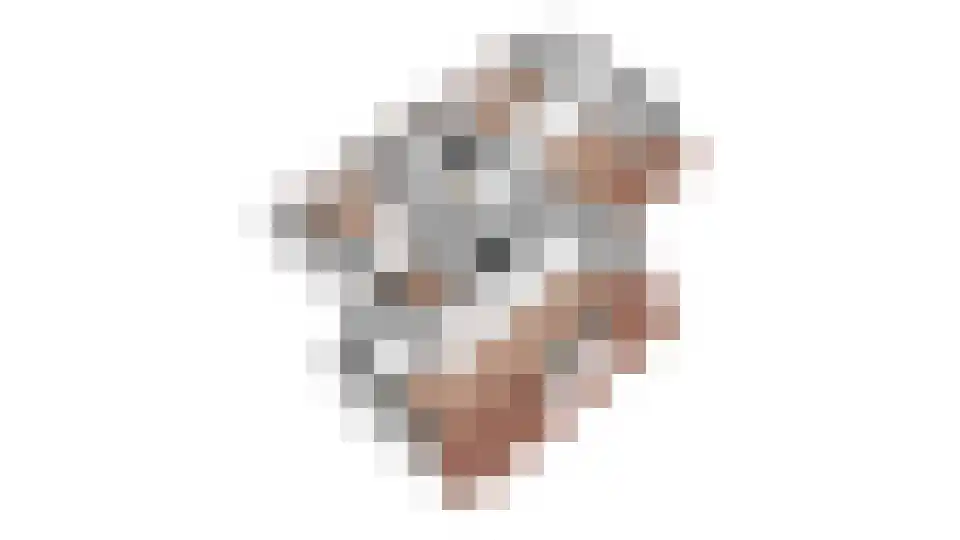 Roerdomp 36 Rijssen thumbnail 67