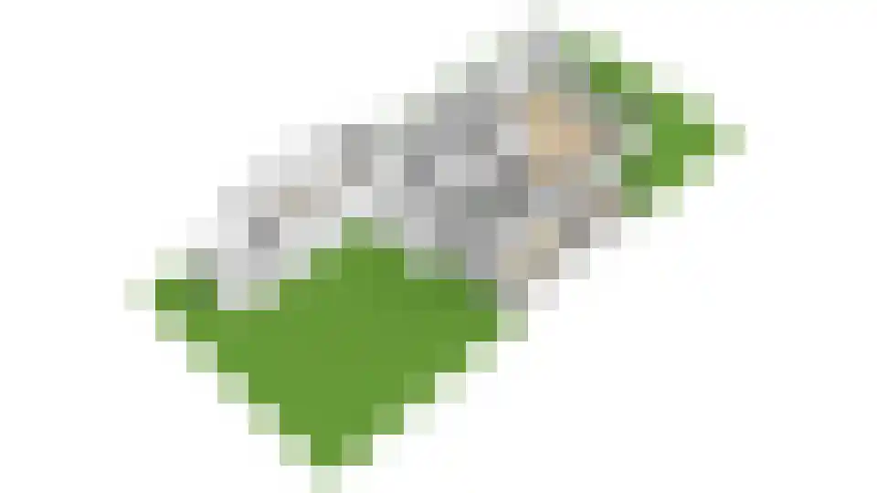 Roerdomp 36 Rijssen thumbnail 76