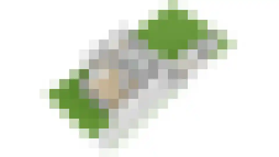 Roerdomp 36 Rijssen thumbnail 77