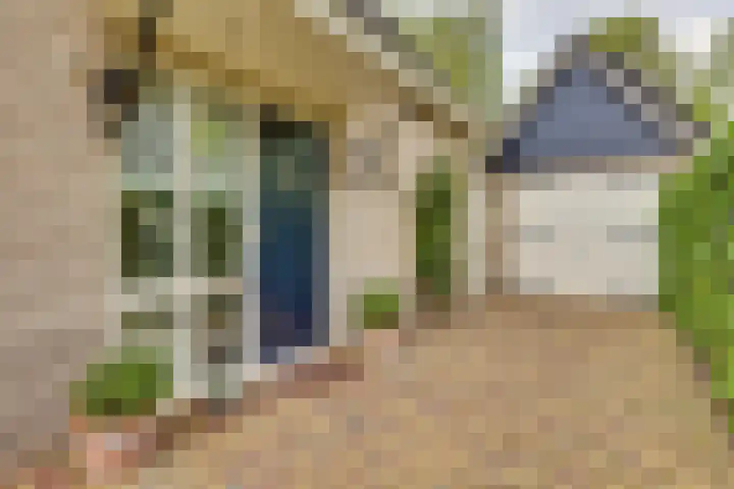 Roerdomp 36 Rijssen thumbnail 8