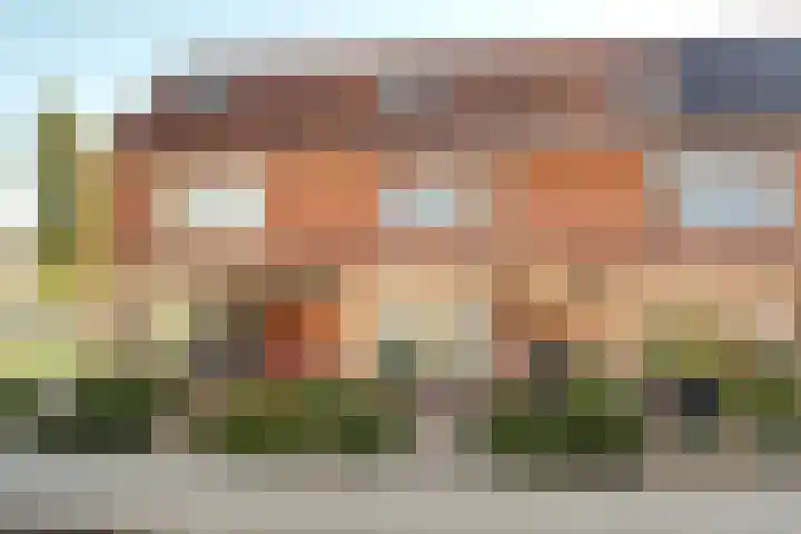 Roerdomp 37 dans Spanbroek