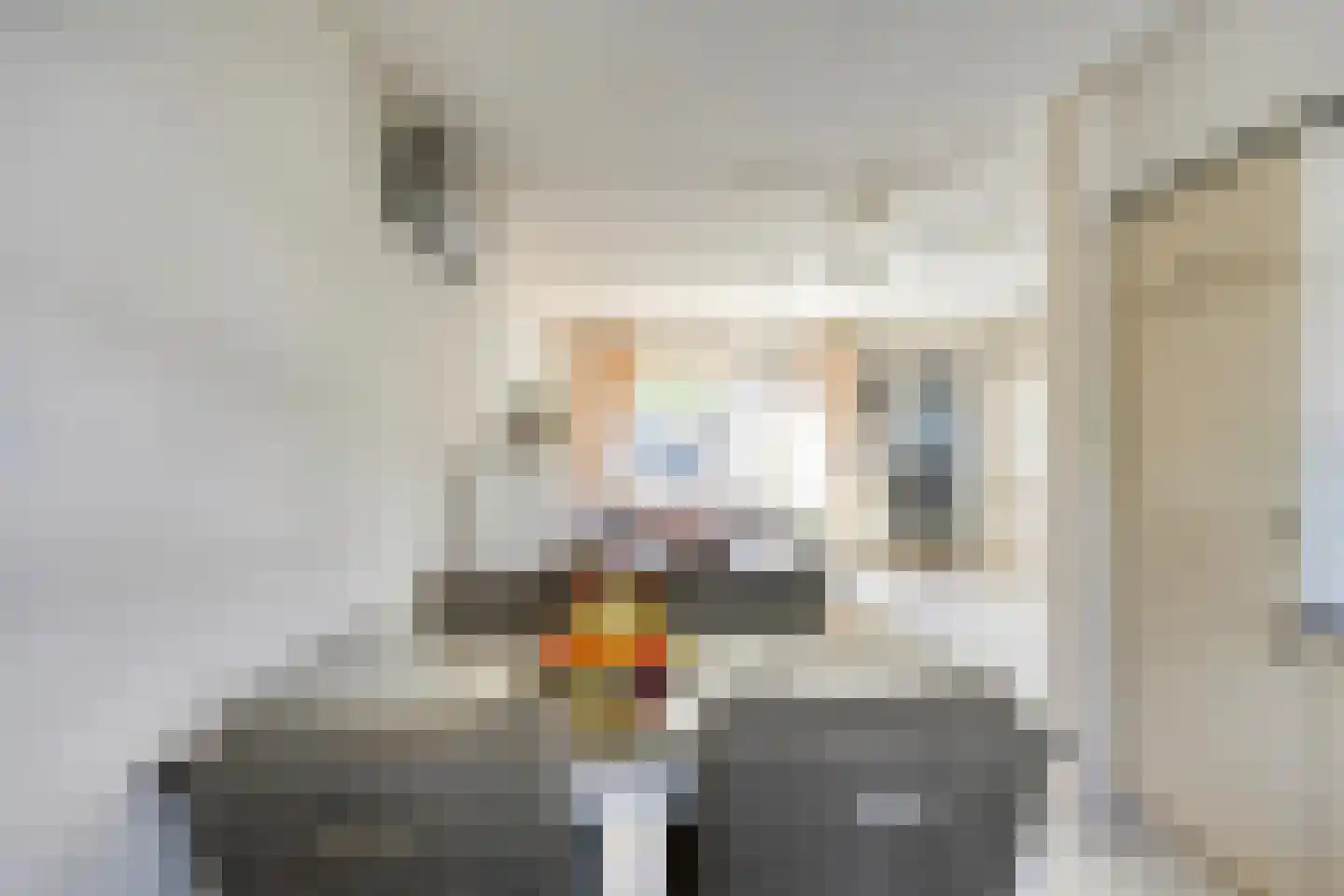 Roerdomp 37 's-Hertogenbosch thumbnail 10