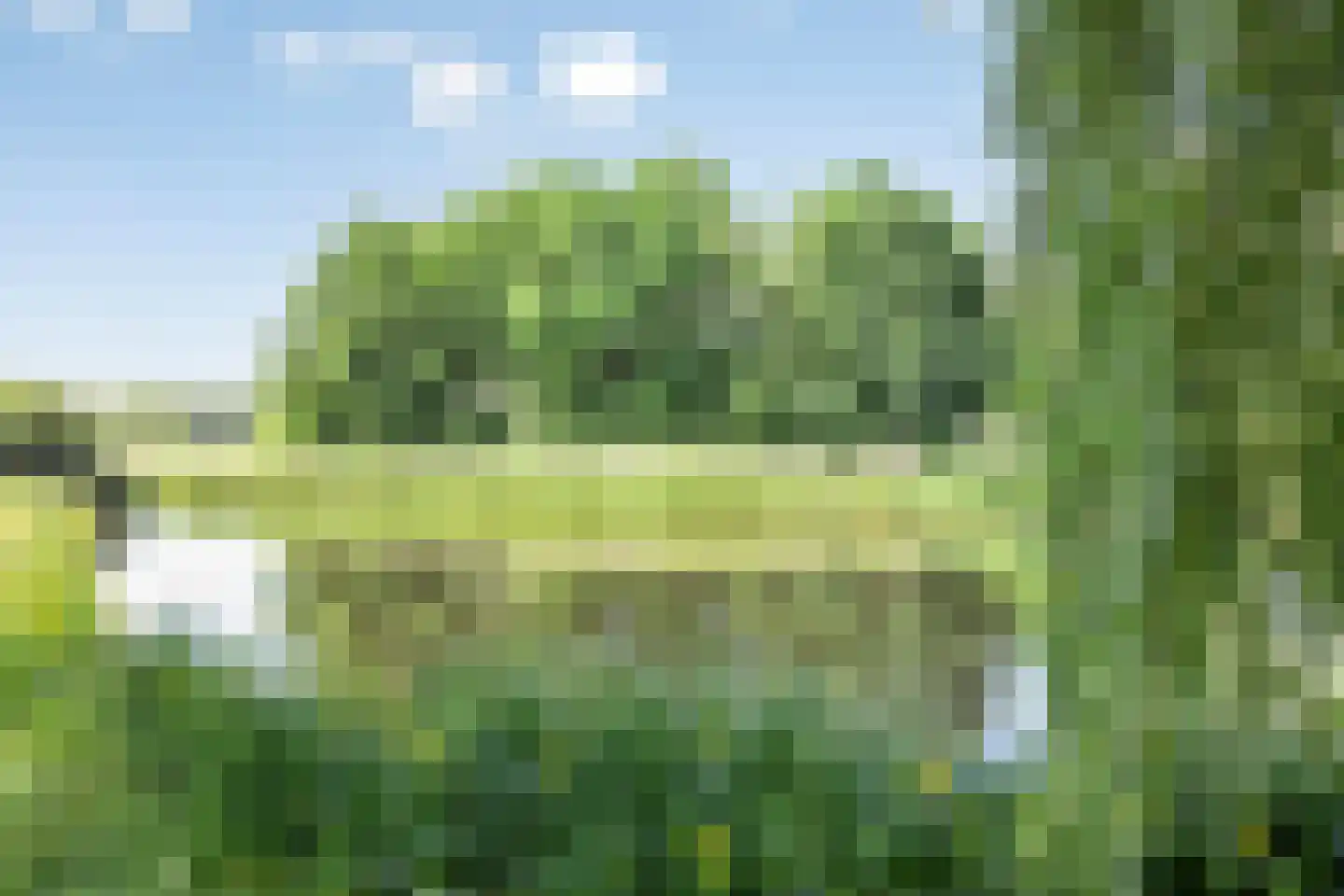 Roerdomp 37 's-Hertogenbosch thumbnail 29