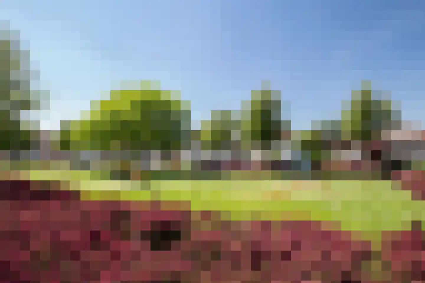 Roerdomp 37 's-Hertogenbosch foto 3