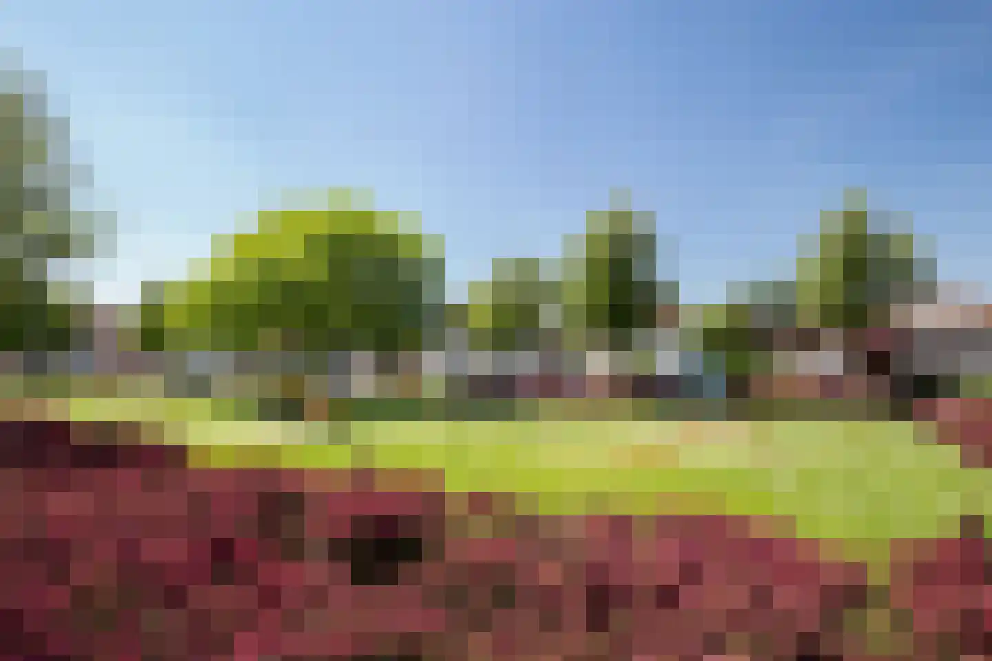 Roerdomp 37 's-Hertogenbosch thumbnail 31