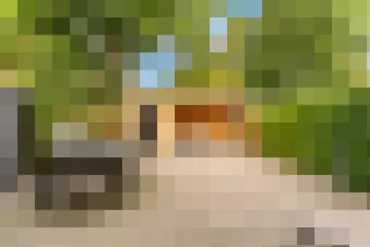 Roerdomp 37 's-Hertogenbosch thumbnail 36