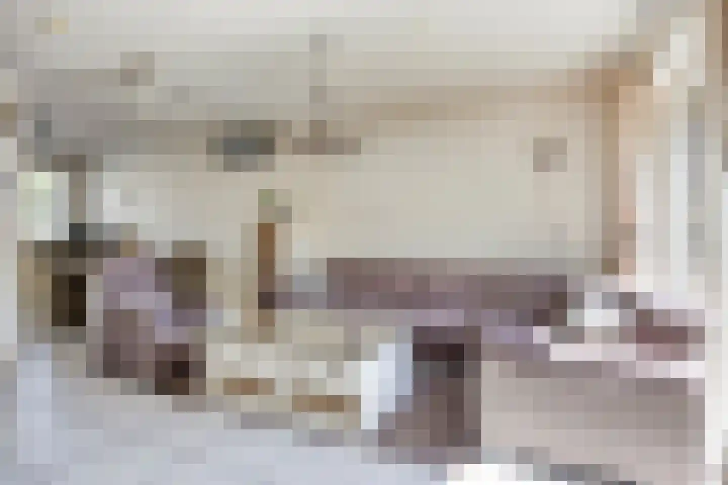 Roerdomp 37 's-Hertogenbosch thumbnail 6