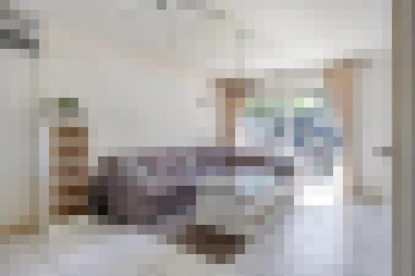 Roerdomp 37 's-Hertogenbosch thumbnail 8
