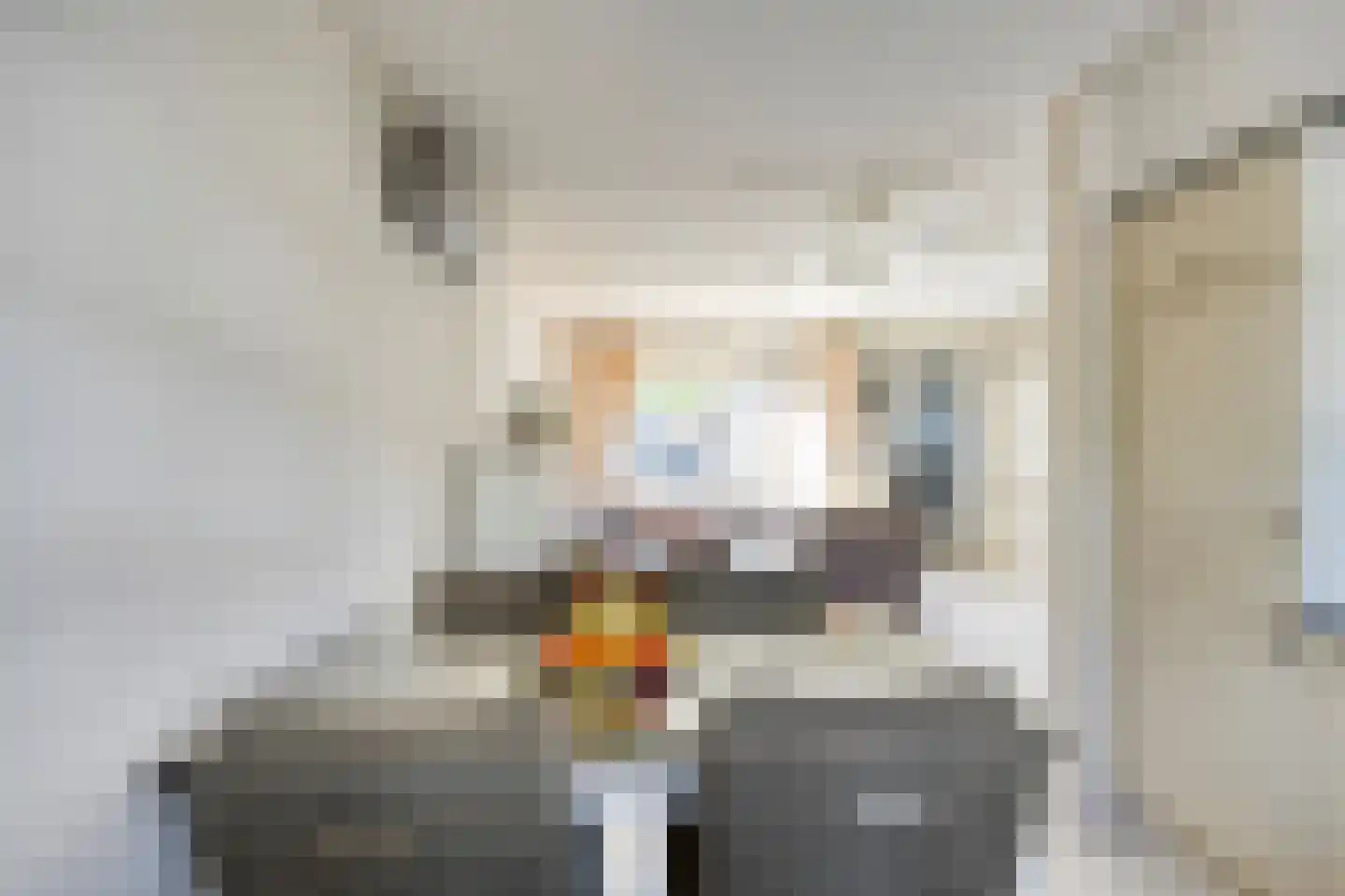 Roerdomp 37 's-Hertogenbosch thumbnail 9
