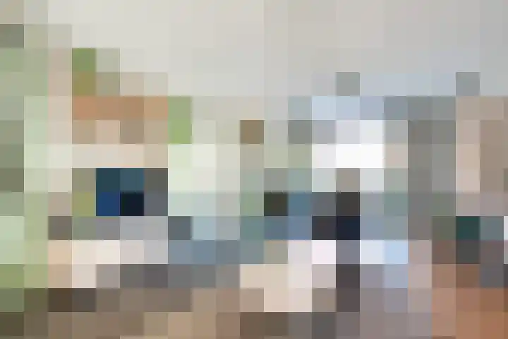 Roerdomp 37 Spanbroek thumbnail 12