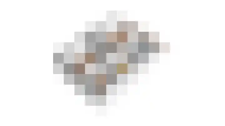 Roerdomp 37 Spanbroek thumbnail 22