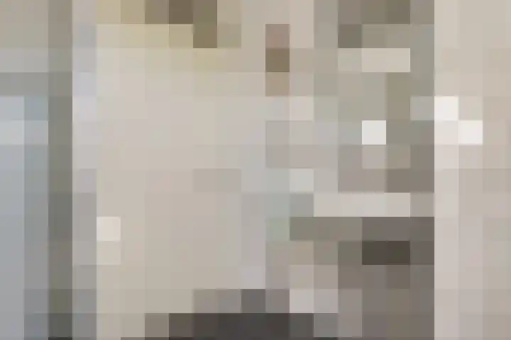 Roerdomp 37 Spanbroek thumbnail 32