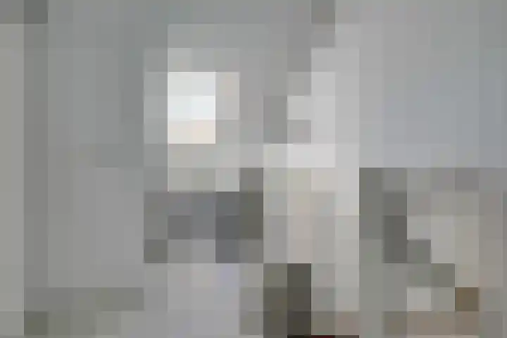 Roerdomp 37 Spanbroek thumbnail 36