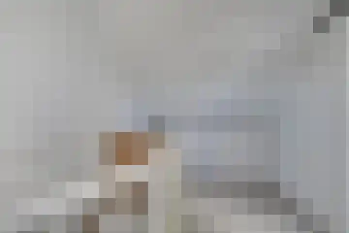 Roerdomp 37 Spanbroek thumbnail 37