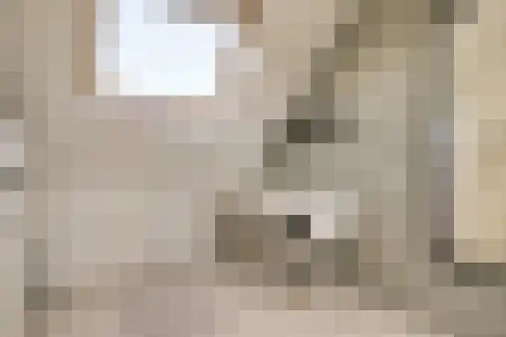 Roerdomp 37 Spanbroek thumbnail 40