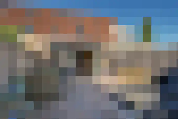 Roerdomp 37 Spanbroek thumbnail 41