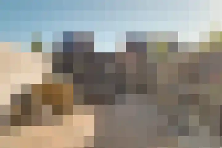 Roerdomp 37 Spanbroek thumbnail 43