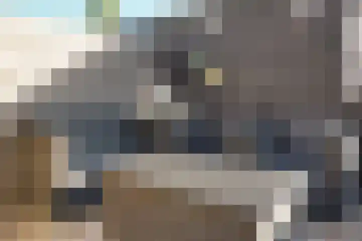 Roerdomp 37 Spanbroek thumbnail 45