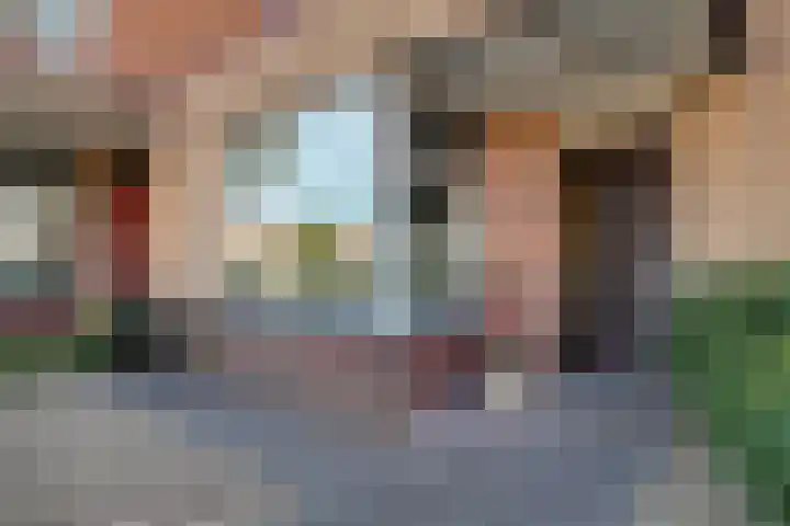 Roerdomp 37 Spanbroek thumbnail 48