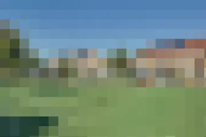 Roerdomp 37 Spanbroek thumbnail 49