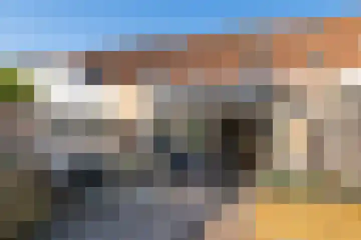 Roerdomp 37 Spanbroek thumbnail 5