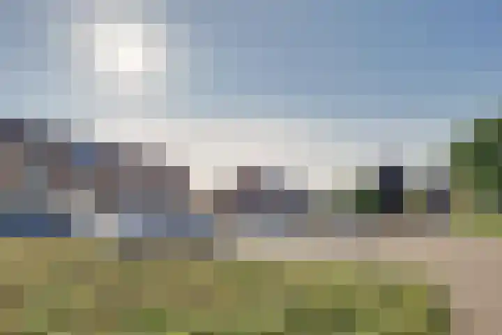 Roerdomp 37 Spanbroek thumbnail 50