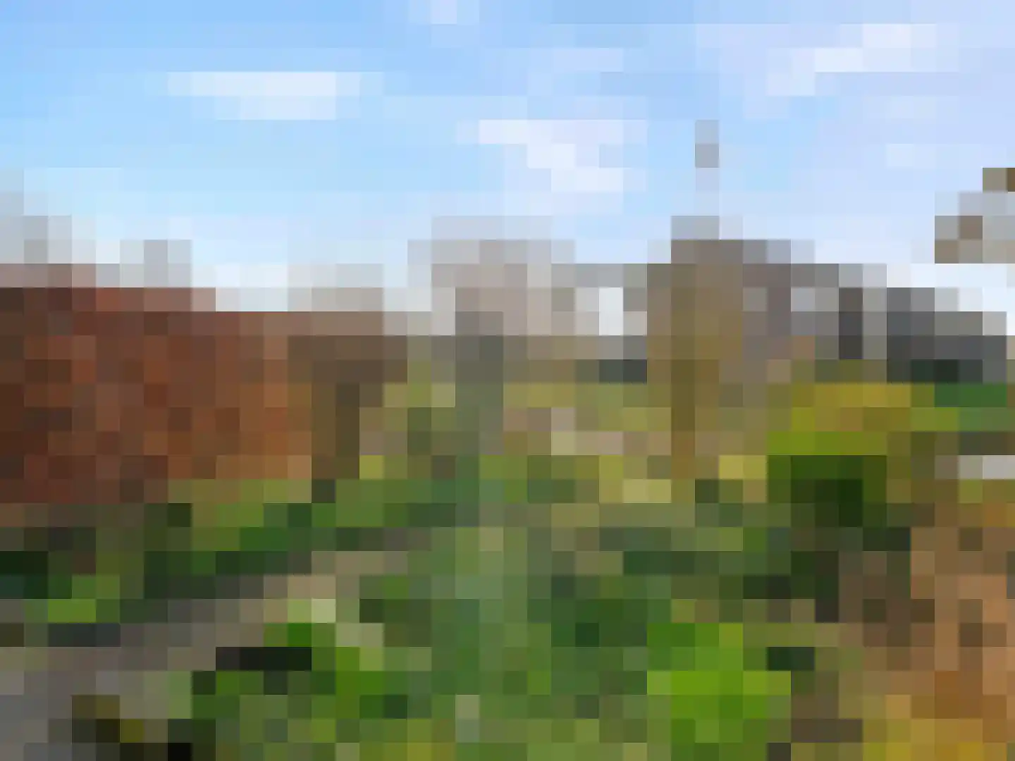 Roerdomp 44 Kockengen thumbnail 25