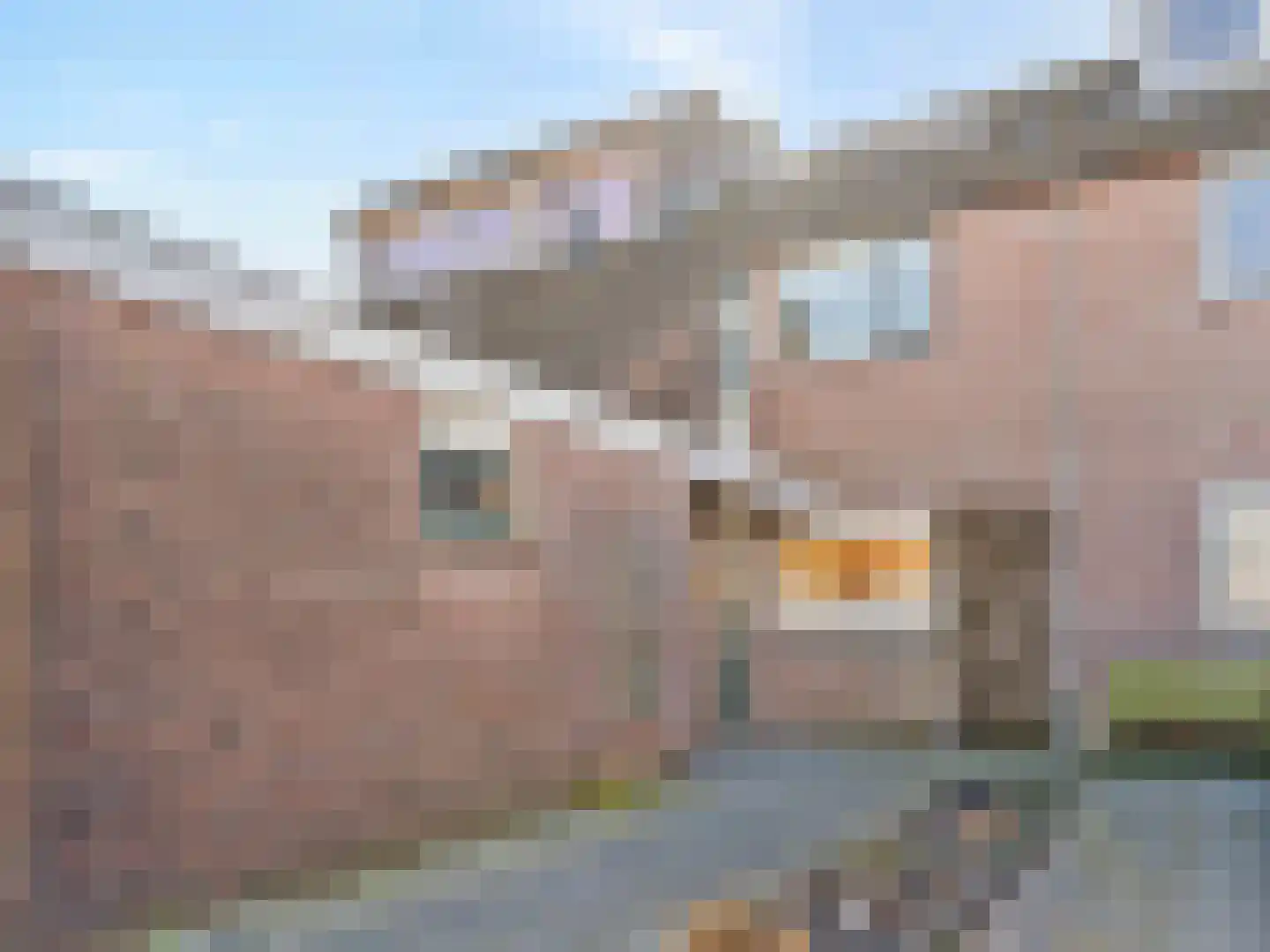 Roerdomp 44 Kockengen thumbnail 6