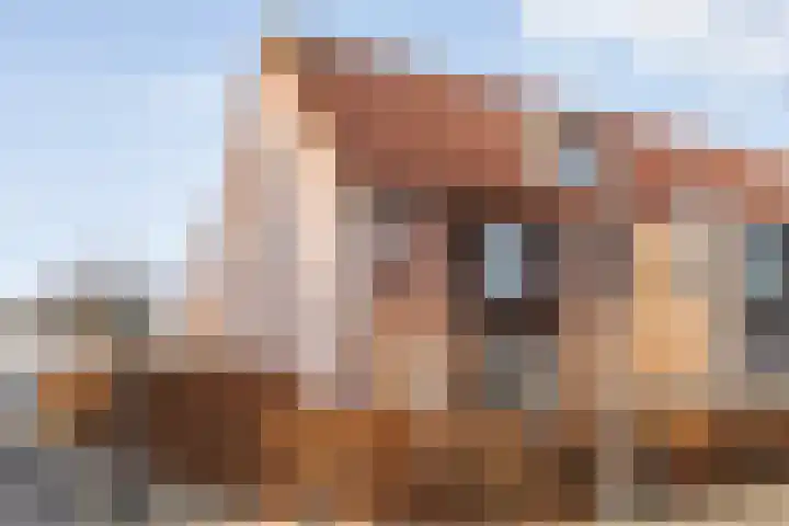 Roerdomp 47 in Meppel