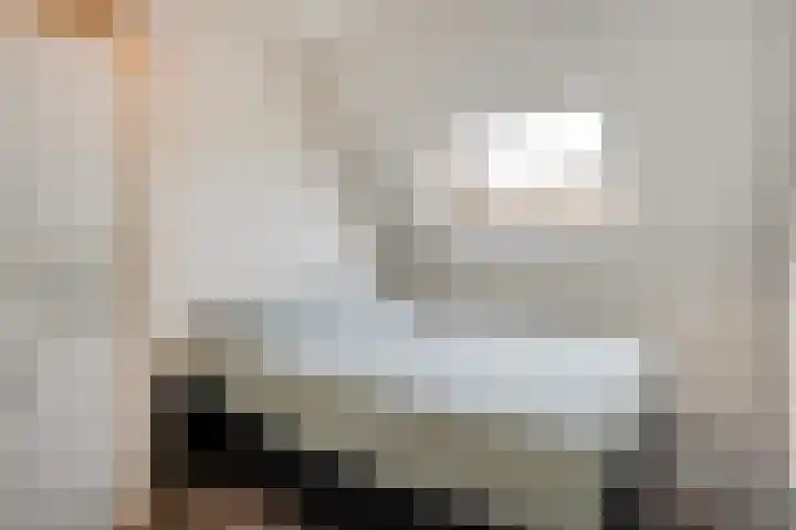Roerdomp 47 Meppel thumbnail 17