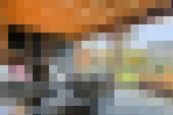 Roerdomp 47 Meppel thumbnail 29
