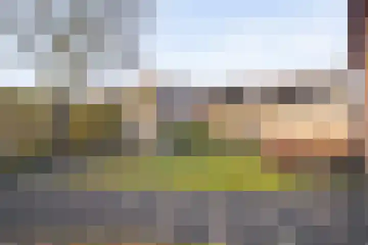Roerdomp 47 Meppel thumbnail 30