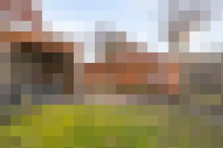 Roerdomp 47 Meppel thumbnail 31
