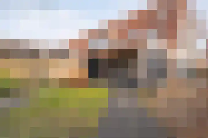 Roerdomp 47 Meppel thumbnail 32