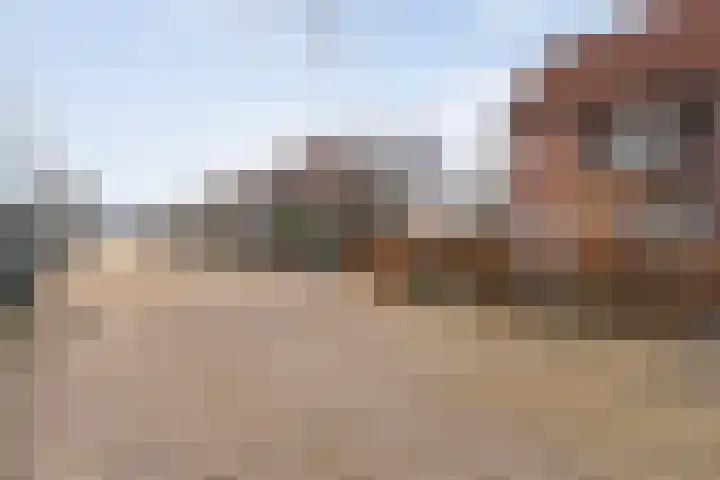 Roerdomp 47 Meppel thumbnail 35