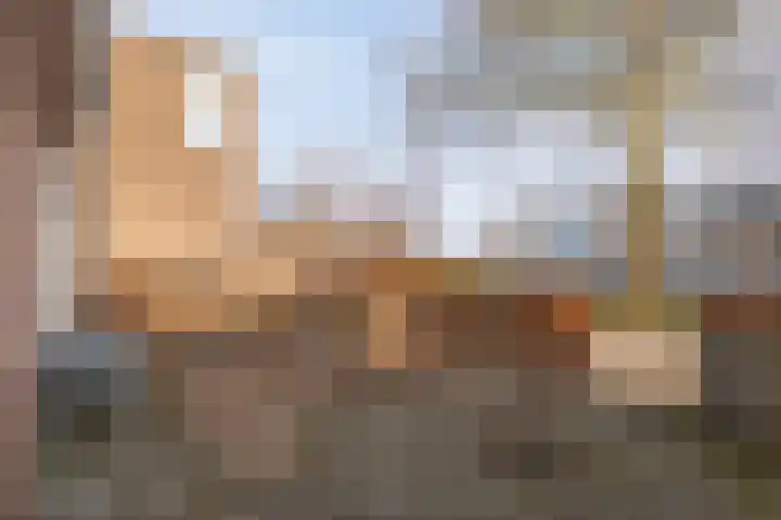 Roerdomp 47 Meppel thumbnail 36