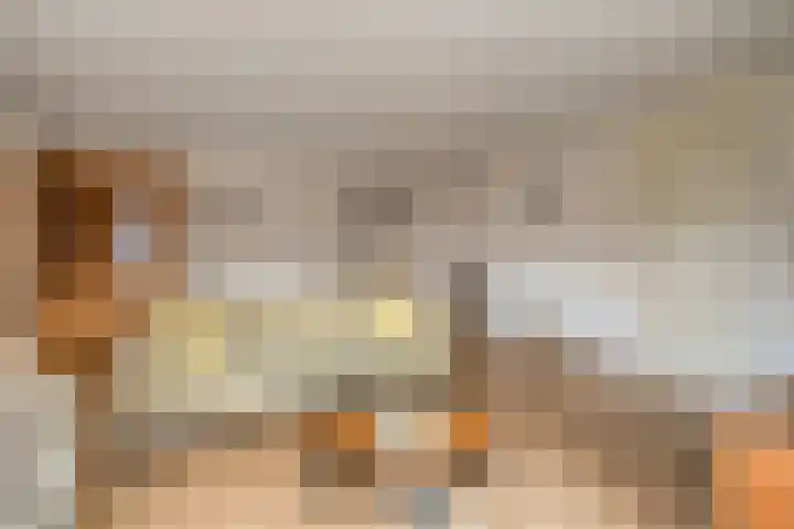 Roerdomp 47 Meppel thumbnail 7