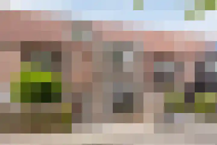 Roerdomp 49 in Meppel