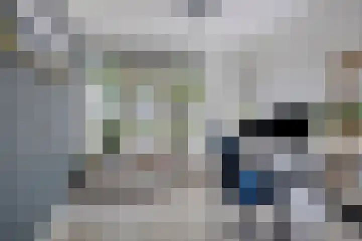 Roerdomp 49 Meppel thumbnail 10