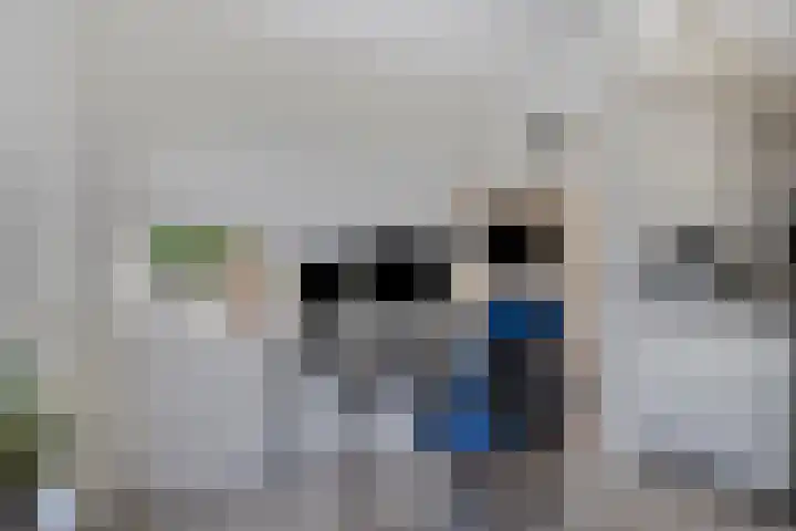 Roerdomp 49 Meppel thumbnail 11