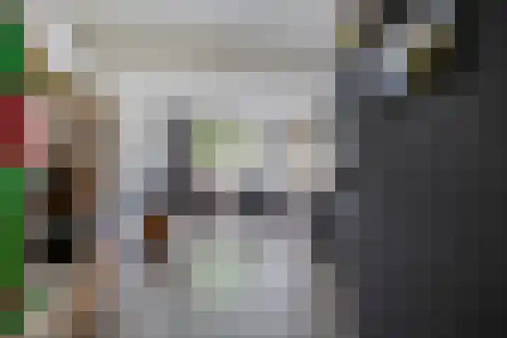Roerdomp 49 Meppel thumbnail 19