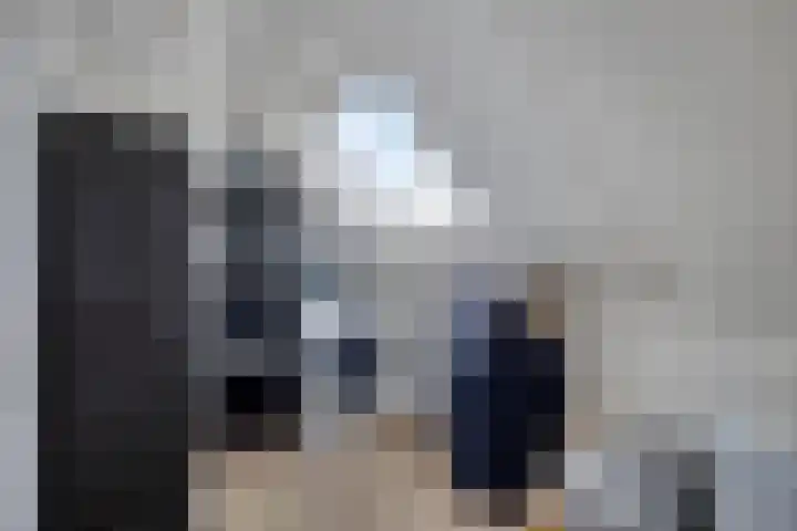 Roerdomp 49 Meppel thumbnail 25